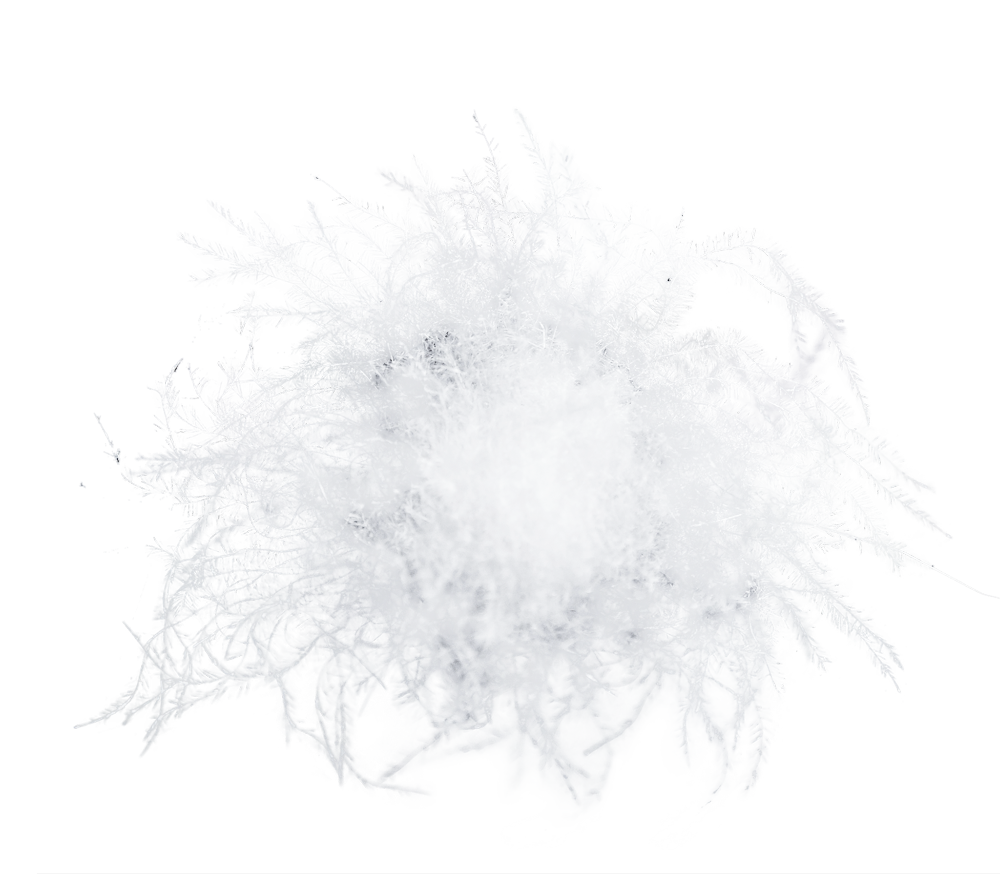 什么是天然的羽绒？